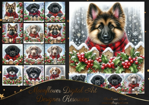 Christmas Holly Fence Pups 16