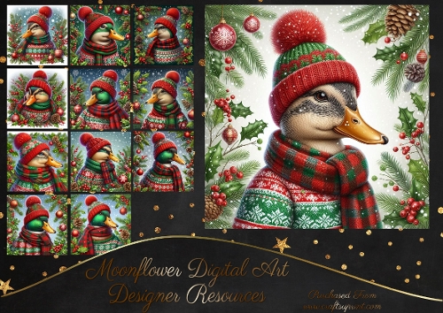 Merry Duckmas 