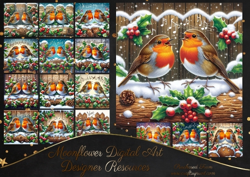 Christmas  Song Robin 1