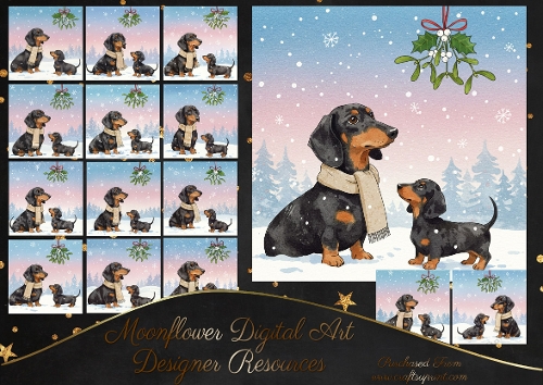 Daxie Christmas KIss 