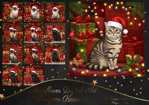 Christmas Gift Cats 1