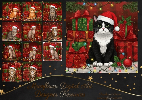 Christmas Gift Cats 2