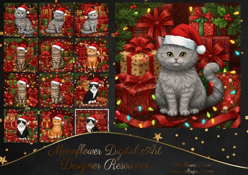 Christmas Gift Cats 3