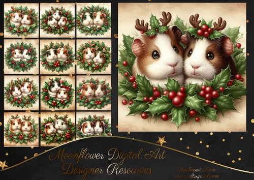 Christmas guinea pigs 