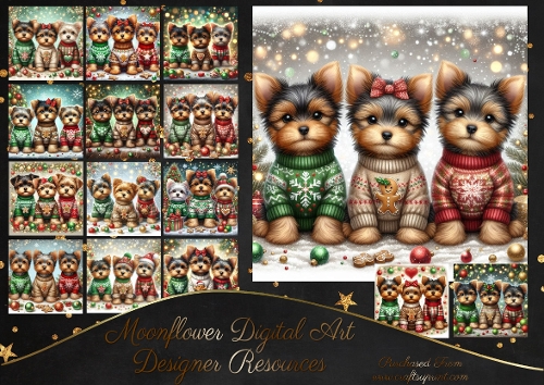 Trio of Festive Yorkies