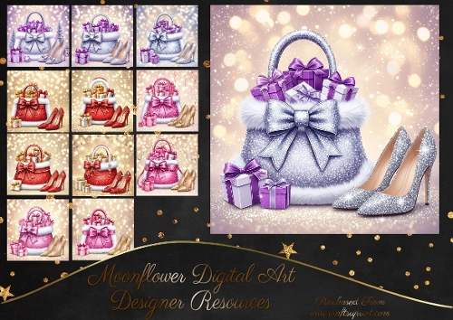 Winter Sparkle Bags And Shoes 1