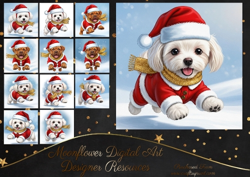 Dashing through the snow 1