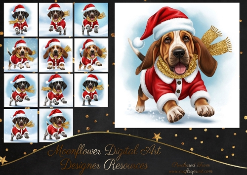 Dashing through the snow 2