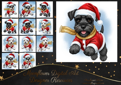 Dashing through the snow 11
