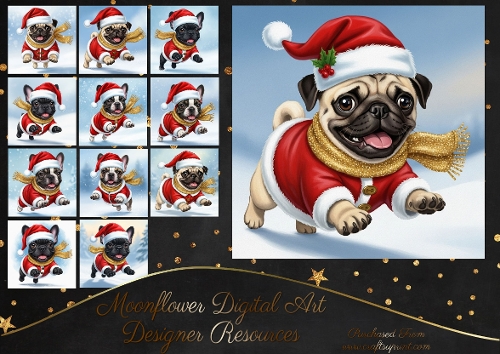 Dashing through the snow 15