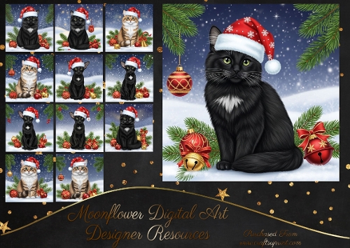 Christmas Cats 2