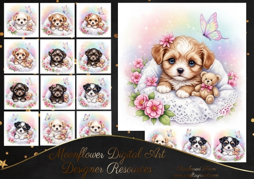 Sweet little  Puppy 