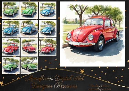 Classic VW Beetle Cars