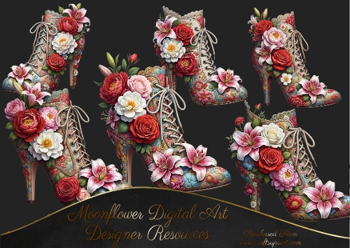 Beautiful Shoes  Clip art 