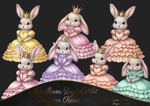 Princess Bunny 