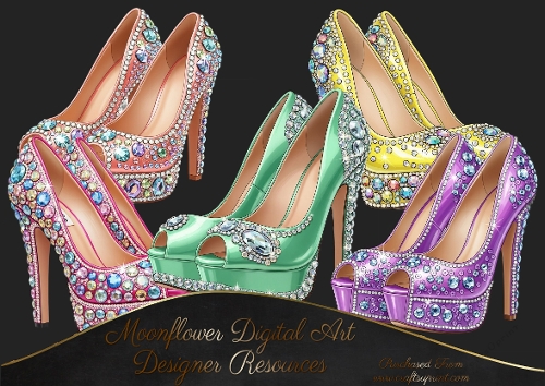 Beautiful  Shoes 
