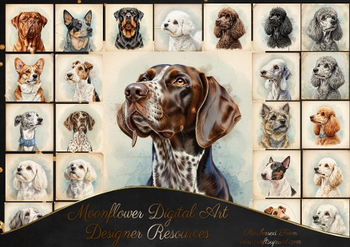 Vintage dog portraits 1