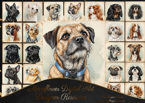 Vintage dog portraits 3