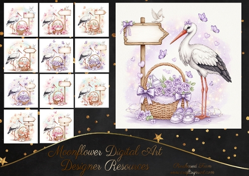 New baby girl storks 