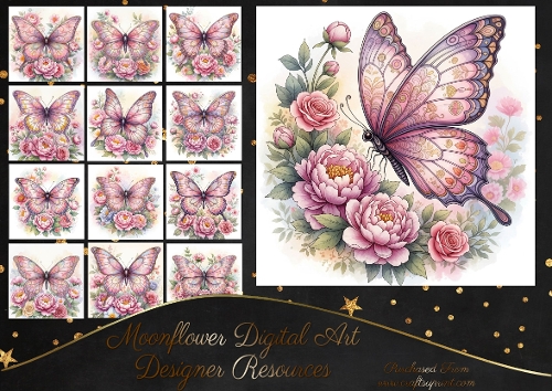 Beautiful butterfly 