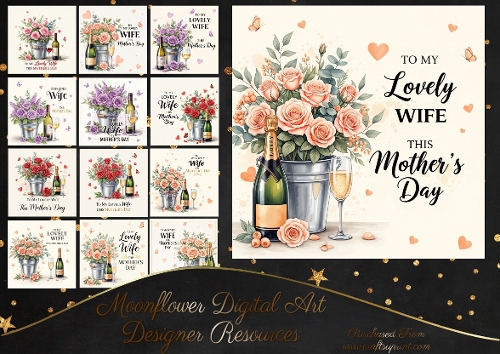 To my lovely wife this mother`s day 