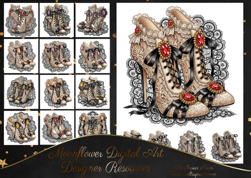 Beautiful victorian shoes 2