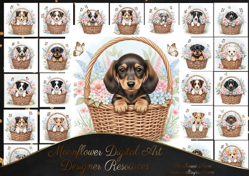 Sweet floral puppy basket 2