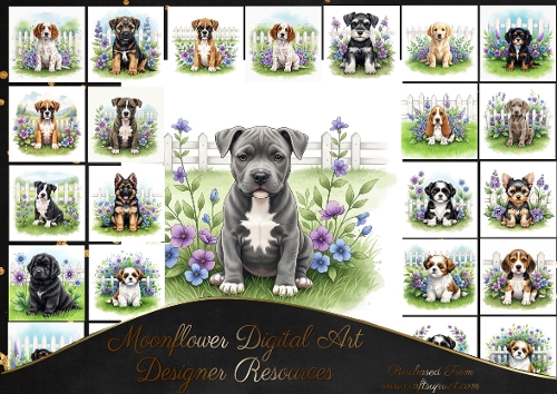 Picket fence pups 3