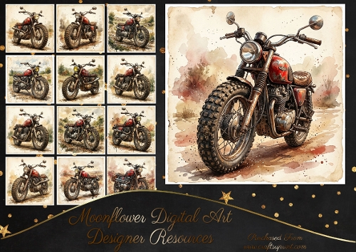 Vintage motorbikes 