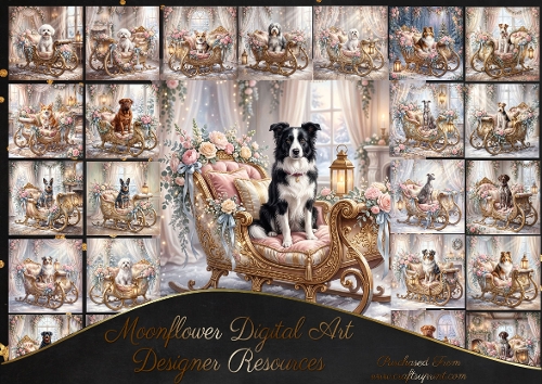 Christmas Sleigh Companion 2