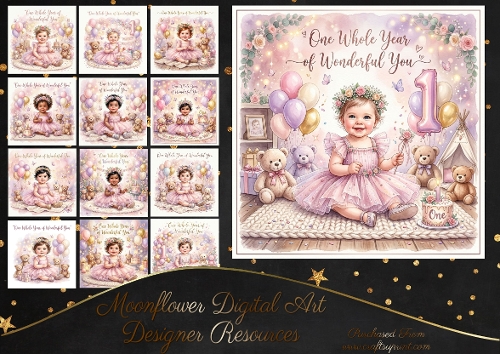 Baby girl 1st Birthday 