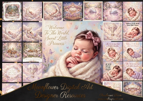 New baby girl 2