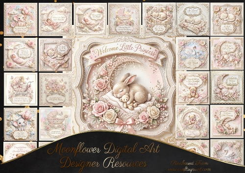 Beautiful new baby girl 2