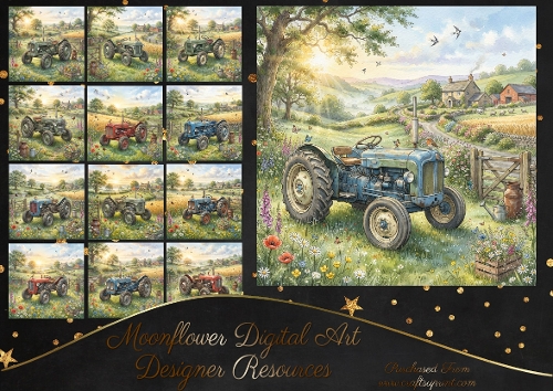 Vintage tractors 