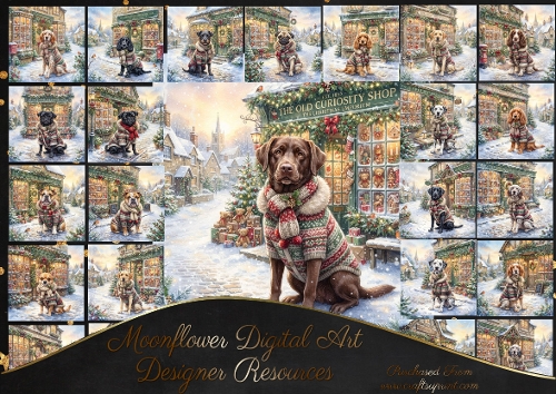 Waiting at the Christmas shop 5