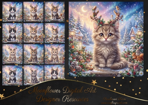 Christmas kitty 