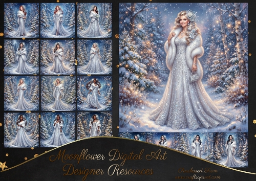 Beautiful festive ladies 1