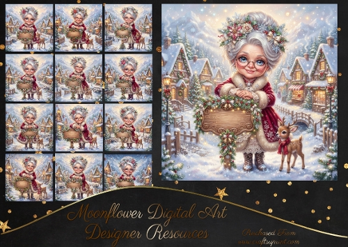 Mrs claus 