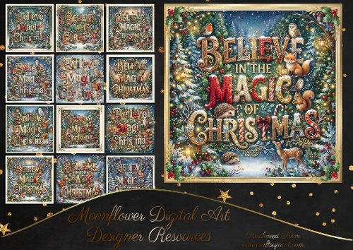 Believe in the magic of Christmas 