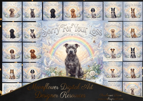 Rainbow bridge 3