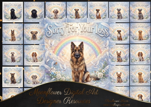 Rainbow bridge 4