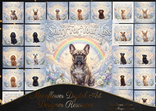 Rainbow bridge 5