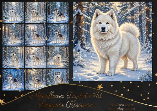 Snow dogs 