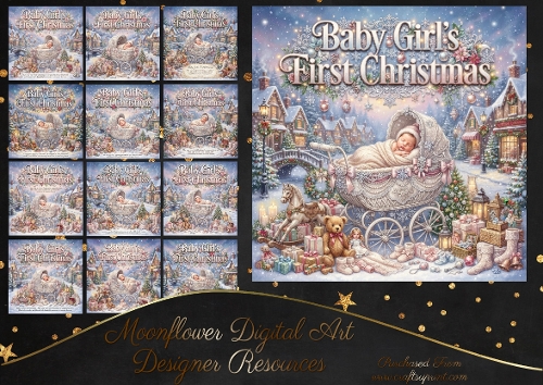 Baby girl  first Christmas 