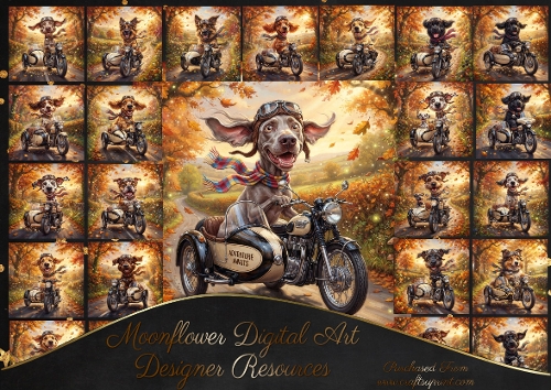 Autumn ride 