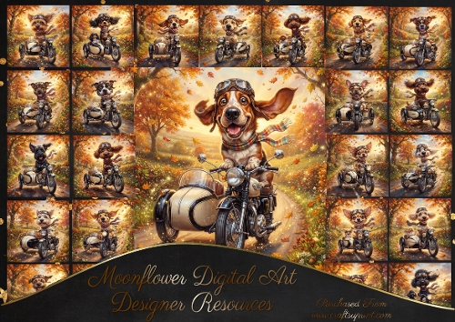 Autumn ride 2