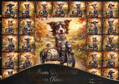 Autumn ride 3