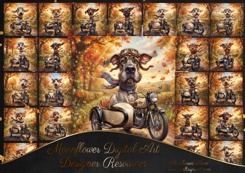 Autumn ride 4
