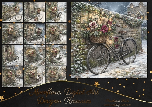 Winter bike 