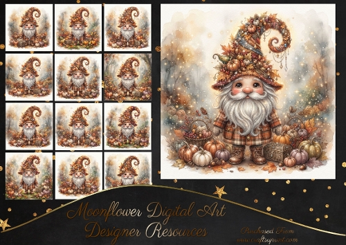 Autumn gnomes